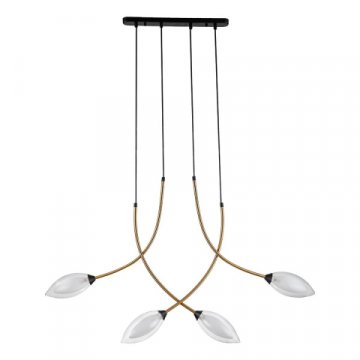 Подвесная люстра Indigo Fiore 13001/4P Black V000141