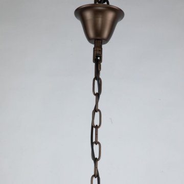 Подвесная светодиодная люстра Favourite Tentacoli 3014-20P