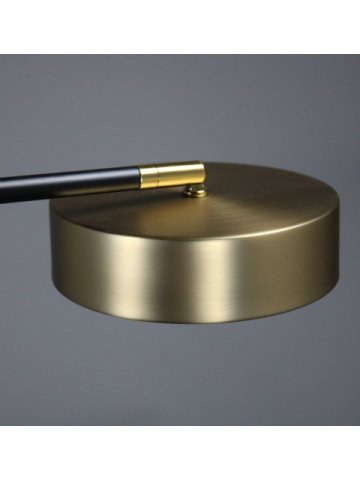 Подвесная светодиодная люстра Zortes Lunar ZRS.01243.06