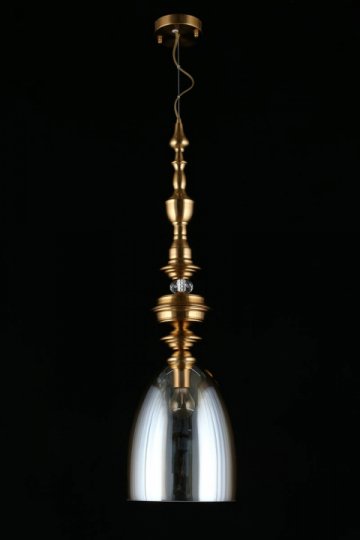 Подвесной светильник Aployt Rena APL.602.06.01