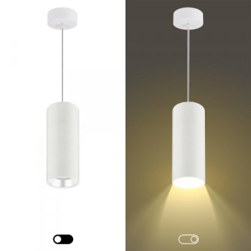 Подвесной светильник ЭРА PL12 GX53 WH/SL Б0048543