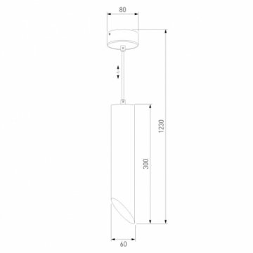 Подвесной светильник Eurosvet 7011 MR16 BK/GD черный/золото