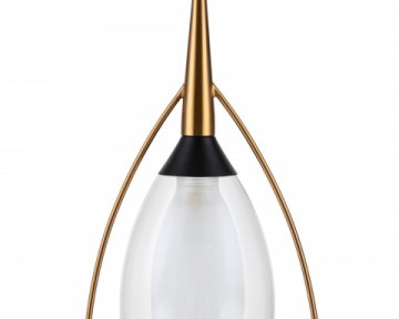 Подвесной светильник Indigo Fiore 13001/1P Black V000142