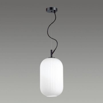 Подвесной светильник Odeon Light Pendant Roofi 4751/1