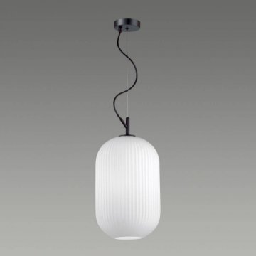 Подвесной светильник Odeon Light Pendant Roofi 4752/1
