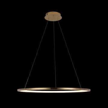 Подвесной светодиодный светильник Loft IT Ring 10014L