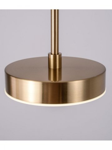 Подвесной светодиодный светильник Zortes Lory ZRS.1055.01