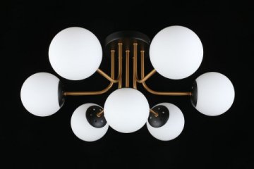 Потолочная люстра Aployt Ewka APL.906.17.07