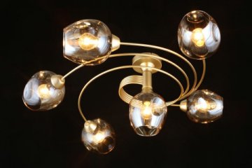 Потолочная люстра Aployt Flor APL.611.07.06