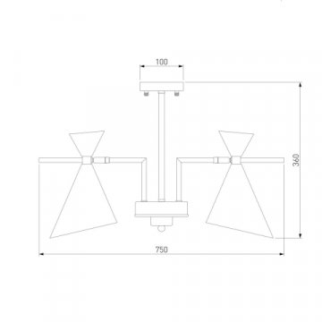 Потолочная люстра Eurosvet Apart 70114/5 белый