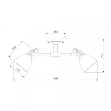 Потолочная люстра Eurosvet Denley 70112/5 черный