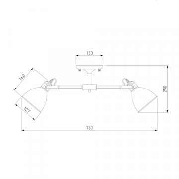 Потолочная люстра Eurosvet Denley 70112/8 черный