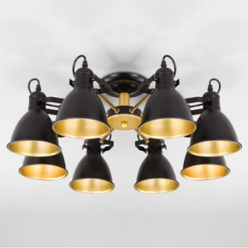 Потолочная люстра Eurosvet Denley 70112/8 черный