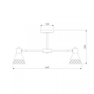Потолочная люстра Eurosvet Trina 70100/6 черный