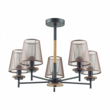 Потолочная люстра Lumion County Betsy 4498/5C