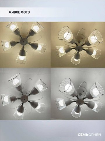 Потолочная люстра Seven Fires Berat WD3525/5C-WT-CR-WT