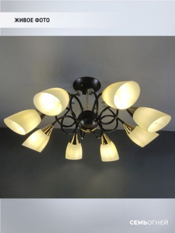 Потолочная люстра Seven Fires Brava WD3514/8C-CF-FGD-WT