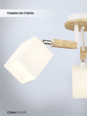 Потолочная люстра Seven Fires Melvill WD3505/3C-WT