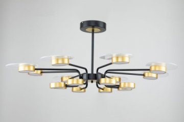 Потолочная светодиодная люстра Escada Halo 10211/SG LED