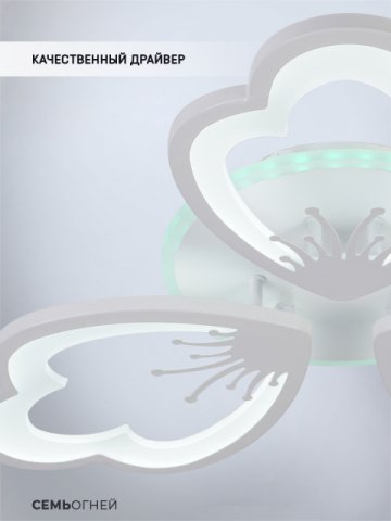 Потолочная светодиодная люстра Seven Fires Ferenk SF5028/3C-WT-RGB