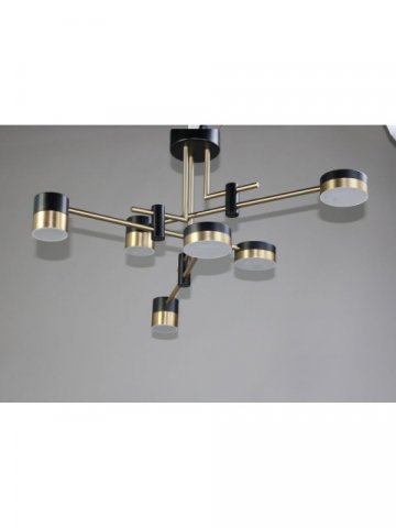 Потолочная светодиодная люстра Zortes Lunar ZRS.1805.06