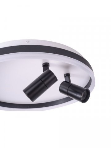 Потолочная светодиодная люстра Zortes Raizy ZRS.1888.01