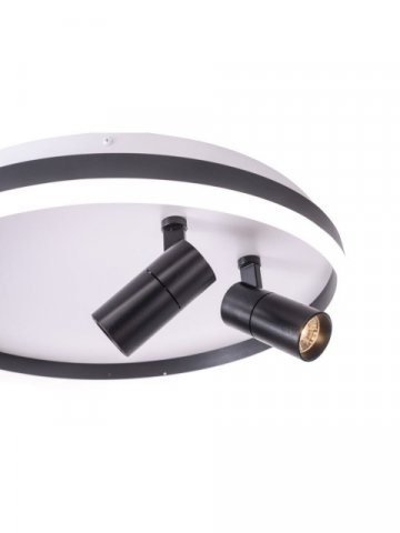 Потолочная светодиодная люстра Zortes Raizy ZRS.1888.01