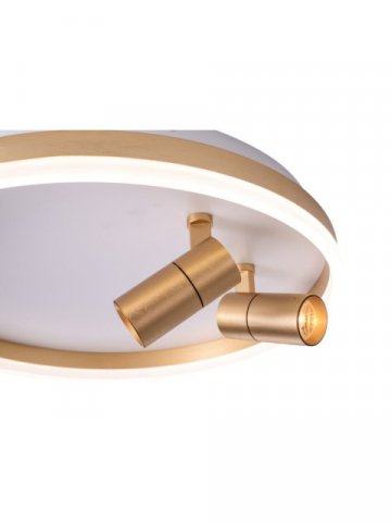 Потолочная светодиодная люстра Zortes Raizy ZRS.1888.02