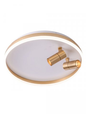 Потолочная светодиодная люстра Zortes Raizy ZRS.1888.02