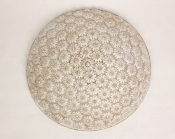 Потолочный светильник Abrasax Ursula SX780