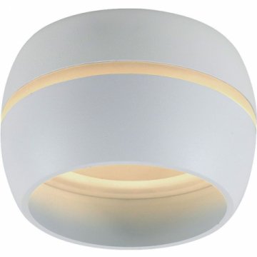 Потолочный светильник Feron HL356 41509