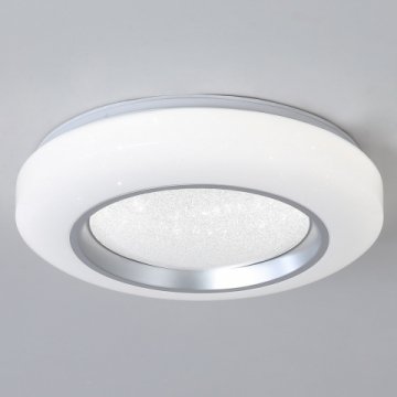 Потолочный светильник Reluce 02098-9.2-24W*2