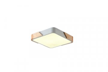 Потолочный светильник Zortes ALBERRO ZRS.01285.60