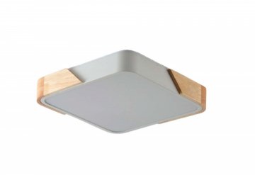 Потолочный светильник Zortes ALBERRO ZRS.01285.60