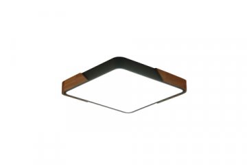 Потолочный светильник Zortes ALBERRO ZRS.01288.60