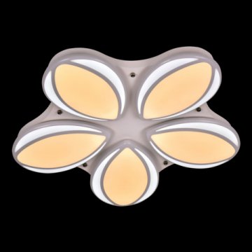 Потолочный светодиодный светильник Adilux 1012