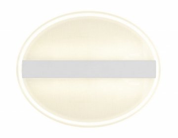 Потолочный светодиодный светильник Ambrella light Original FA606