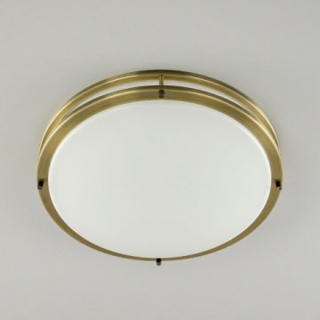 Потолочный светодиодный светильник Citilux Бостон CL709503N