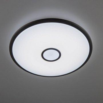 Потолочный светодиодный светильник Citilux Старлайт Смарт CL703A105G