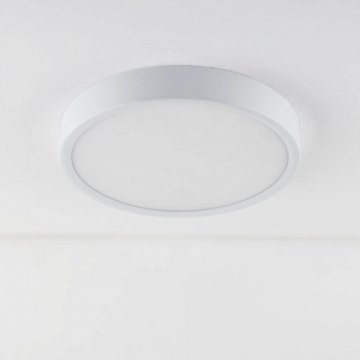 Потолочный светодиодный светильник Elektrostandard DLR034 18W 4200K a043015