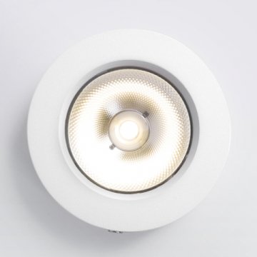 Потолочный светодиодный светильник Elektrostandard DLS030 белый a052413