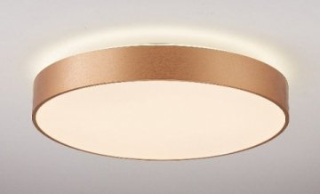 Потолочный светодиодный светильник Elvan LU-5378-60W+8W-WW/NH-MtG