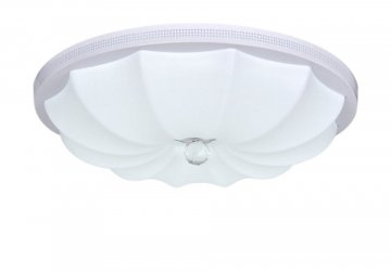 Потолочный светодиодный светильник Escada 10231/S LED