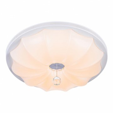 Потолочный светодиодный светильник Escada 10231/S LED