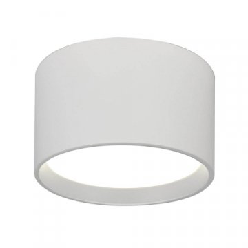 Потолочный светодиодный светильник Escada 20005SMU/02LED SWH