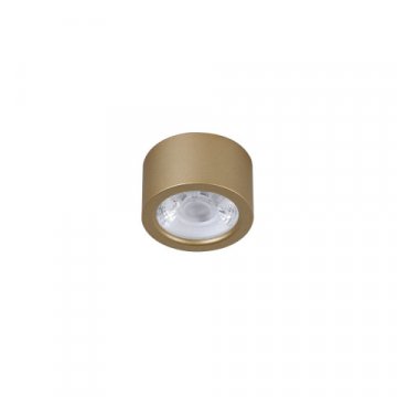 Потолочный светодиодный светильник Favourite Deorsum 2807-1U