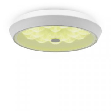 Потолочный светодиодный светильник Freya Cells FR10012CL-L24W