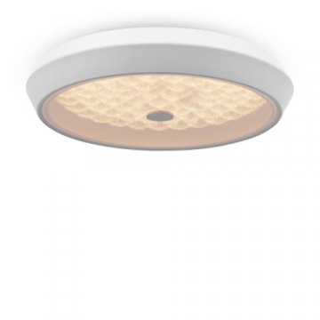 Потолочный светодиодный светильник Freya Cells FR10012CL-L24W