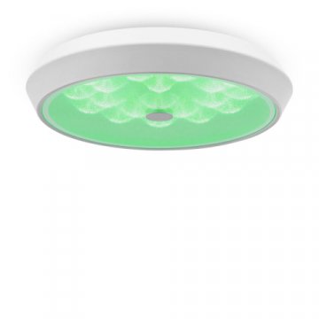 Потолочный светодиодный светильник Freya Cells FR10012CL-L24W