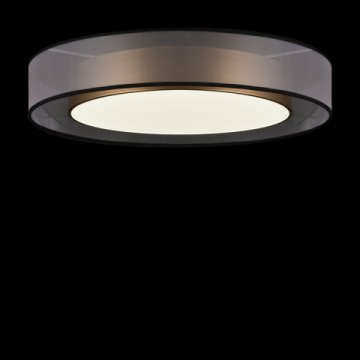 Потолочный светодиодный светильник Freya Zoticus FR6005CL-L48G